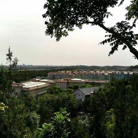 秋游百望山（手机拍摄）