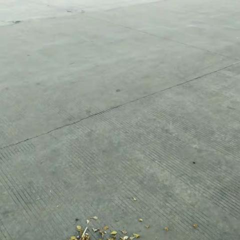 重兴镇开展“五治理”专项行动自查整改情况美篇 8月21日（十二）