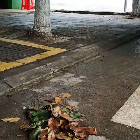 重兴镇开展“五治理”专项行动自查整改情况美篇 8月22日（九）