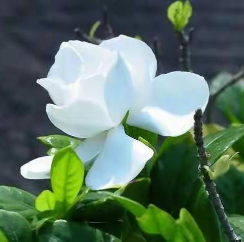 我的美篇（副本）