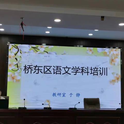 凝心聚力，赋能前行 ——记桥东区语文学科教材培训活动