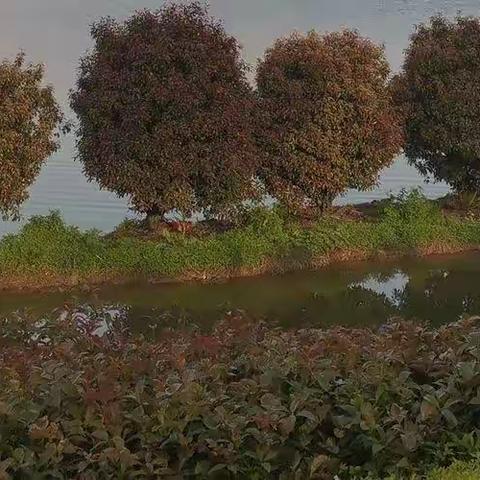 四月，于简单处安放自己