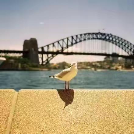 时光如雨，清新生活——致八月