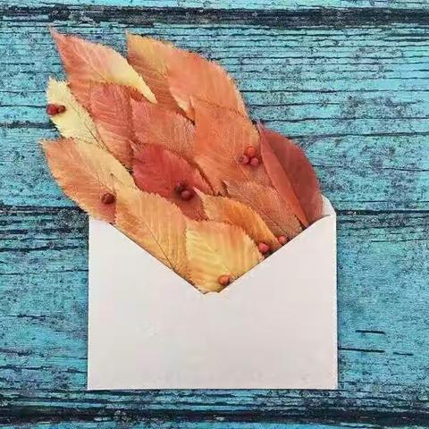 你有一封来自秋天的信