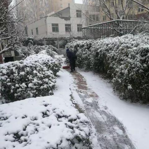 最美物业人    清雪暖人心