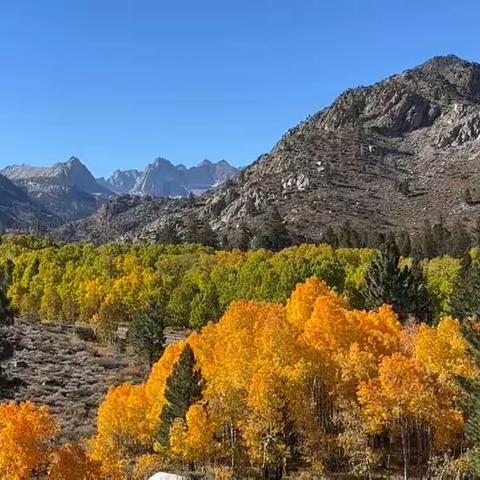 山河，故人，西耶纳之秋