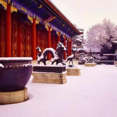 2020年京城第一场雪