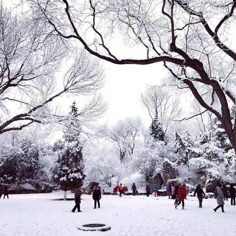 赏雪
