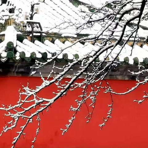 看雪