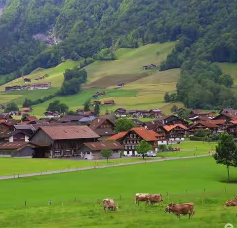 阿尔卑斯山脚下的恬静小镇——因特拉肯