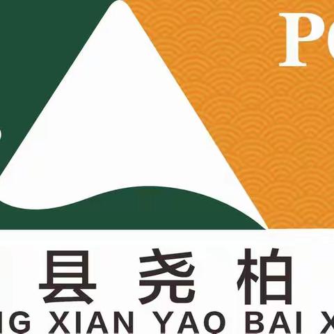 “凝心聚力共成长  匠心相传展芳华”2021—2022学年度上学期第十小学综合组“青蓝结对”汇报展示活动