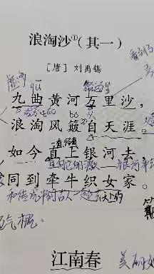 第六单元复习