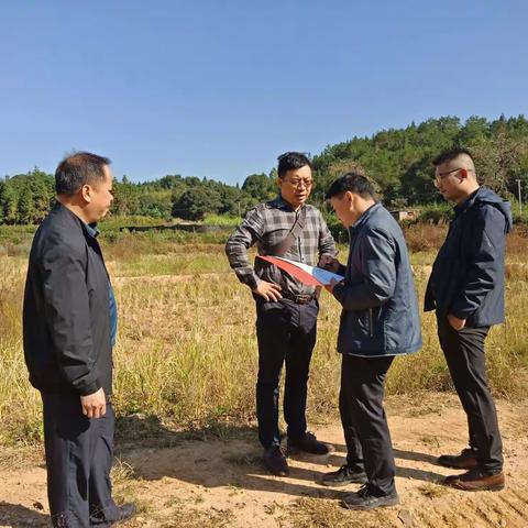 【嵩口所】市局到我镇验收旧村复垦项目