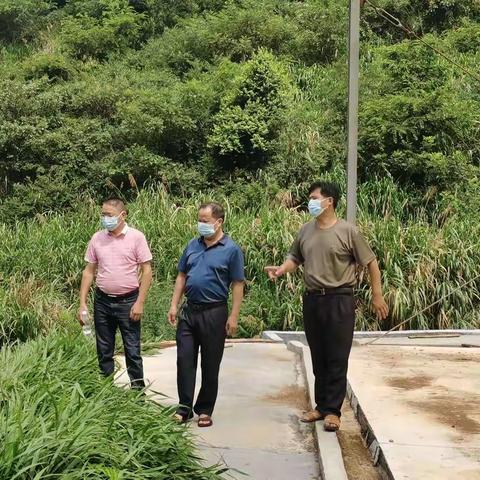 【嵩口所】嵩口镇深入推进耕地图斑整治战斗