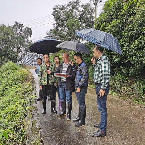 【嵩口所】县局组织验收组对嵩口镇嵩口等6个村2018年旧村复垦项目进行初验