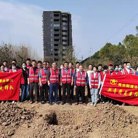 秀水街道办事处开展“共植一棵树，同建一座城”植树活动