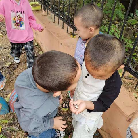 宁家沟幼儿园生成活动--雨后的幼儿园