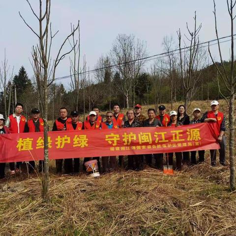 植绿护绿，守护闽江正源
