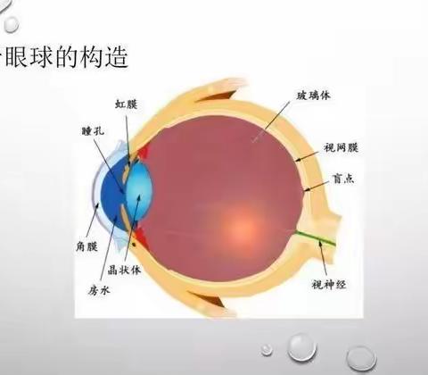 金湖旅专视力防控宣传教育篇