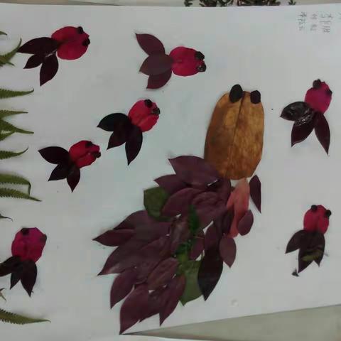 丹校风采，科技艺术。