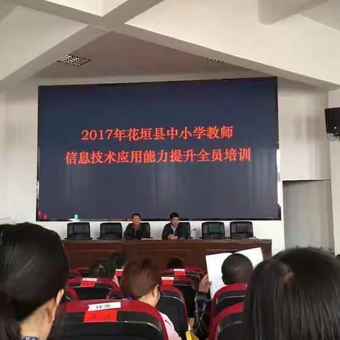 第五组边高黄海松