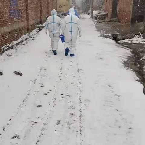 顶风冒雪测核酸，风雪之中见党性       葛寨镇卫生院