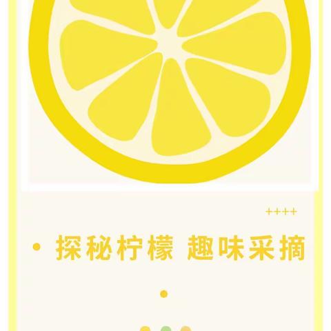 [劳动教育]扶绥县岜盆乡中心幼儿园“探秘柠檬 趣味采摘”小班社会实践系列活动