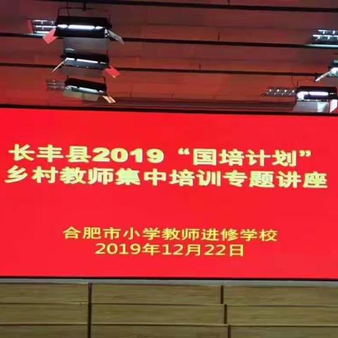 聆听专家报告  感悟教育智慧  ------长丰县2019“国培计划”乡村教师集中培训