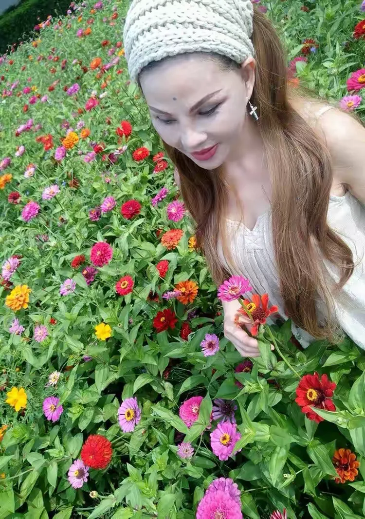 百花草