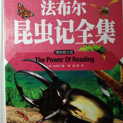 好书伴我成长：向您推荐法布尔先生的《昆虫记全集》！      乐亭三小  四六班  石肖冉