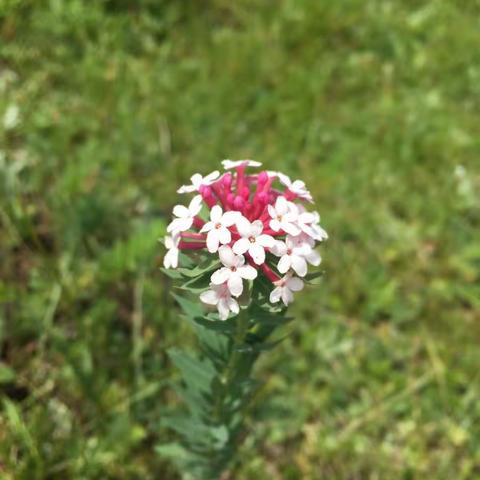 雁滩路支行开展"突发事件应急预案演练"活动