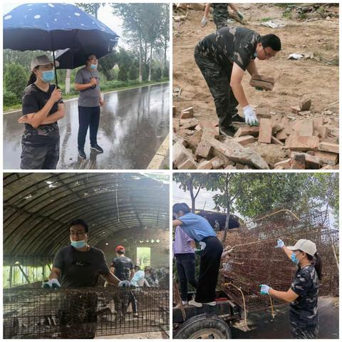 双提升，两不误—偏城镇全力推进疫情防控和环境整治工作