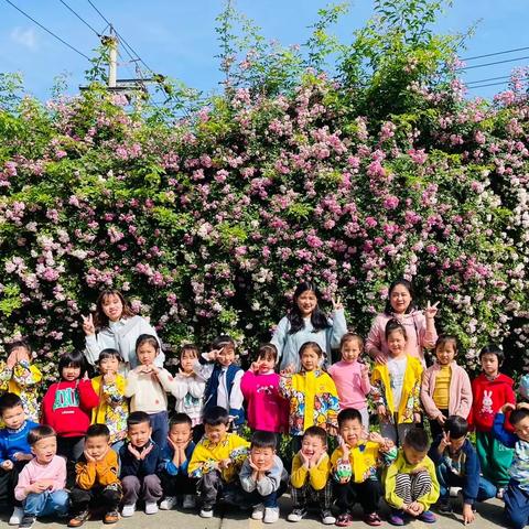 🌸🌸中兴学校新益幼儿园🌸🌸🌸🌸🌸大二班—第十一周时光🌸🌸🌸🌸2023.4.23—2023.4.28