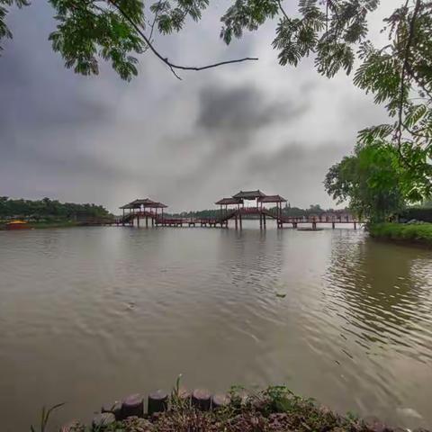 走马观花乐百年小镇