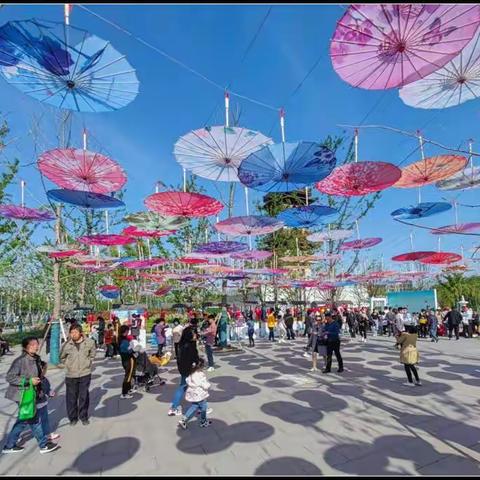 通扬河畔的古韵新风