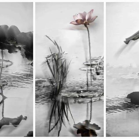 雅周许河拍荷花