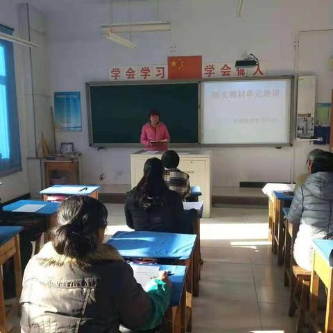 紫草坞小学语文教师深入学习教材解读