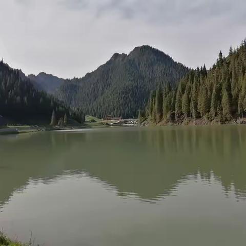 新疆之行第十六天——走进天山大峡谷，赏湖光山色，奇松怪石，领略大自然的神奇魅力