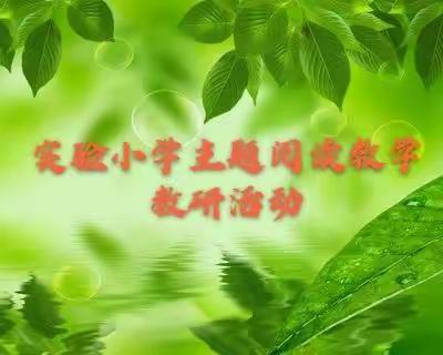 实验小学主题阅读教学教研活动