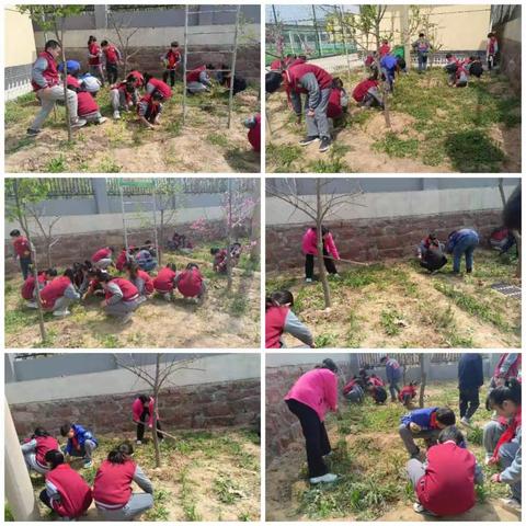 劳动践行实践     美好孕育校园