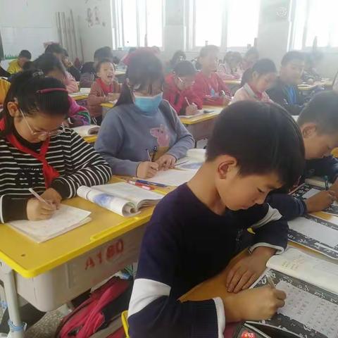 “传承传统文化，展示书法风采”  ————七小五一班硬笔书法比赛