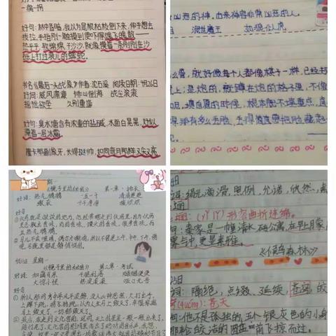 天高云白的美篇