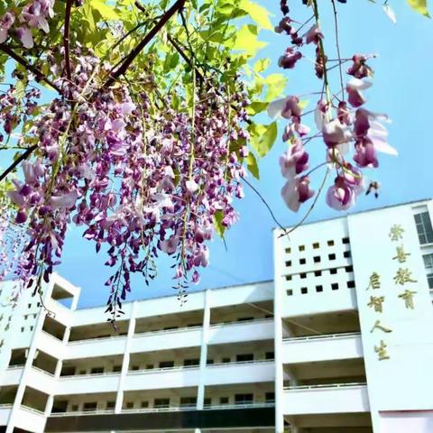 落实“双减”抓常规 教学检查促规范——上饶市第十一小学教学常规检查