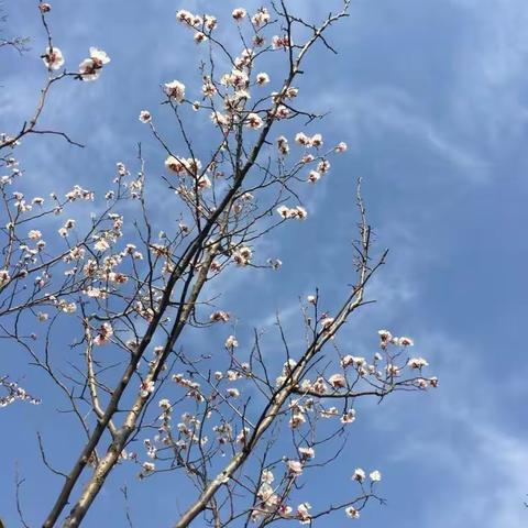 春之序曲