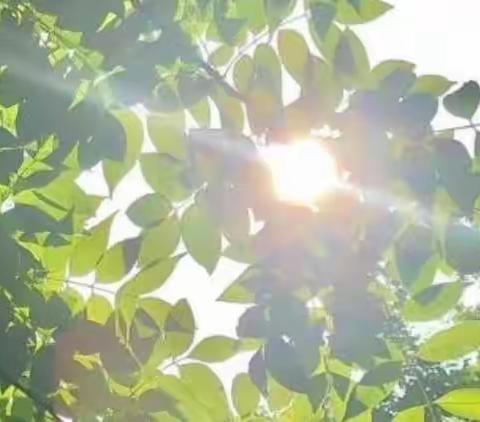 【校园快讯】大庸桥中心学校五月份文明班级和最美办公室评比情况公布