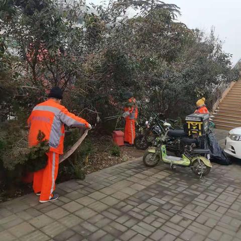 【槐荫城管张庄环卫所】迎新春大扫除，干干净净过大年