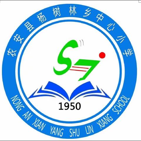 杨树林小学第35次师德师风集中教育大会