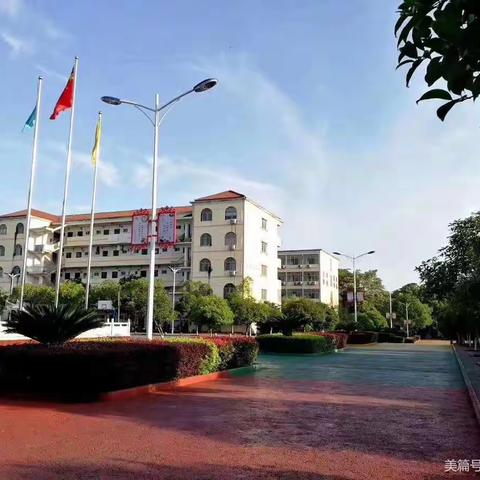 学以致用——九年级数学图案设计实践活动