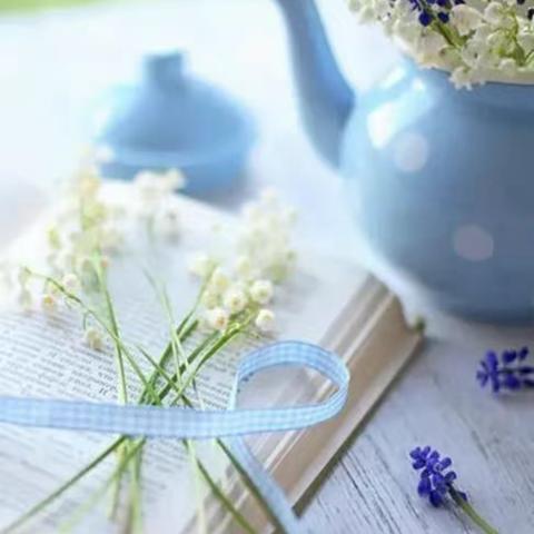 书香浸润，阅读悦美——于都县胜利学校三（6）班阅读记