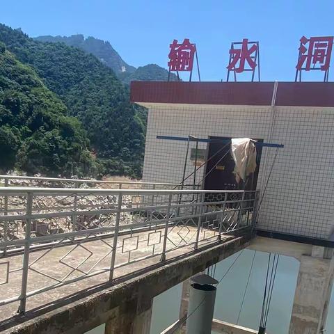 石砭峪水库枢纽金属结构更新改造工程输水洞进口排架加固脚手架搭拆安全专项方案通过专家论证